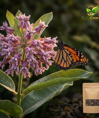 039-Monarch-Butterfly-Wildflower-Seeds-Pollinator-Garden-Mix-1-oz-Packet product image