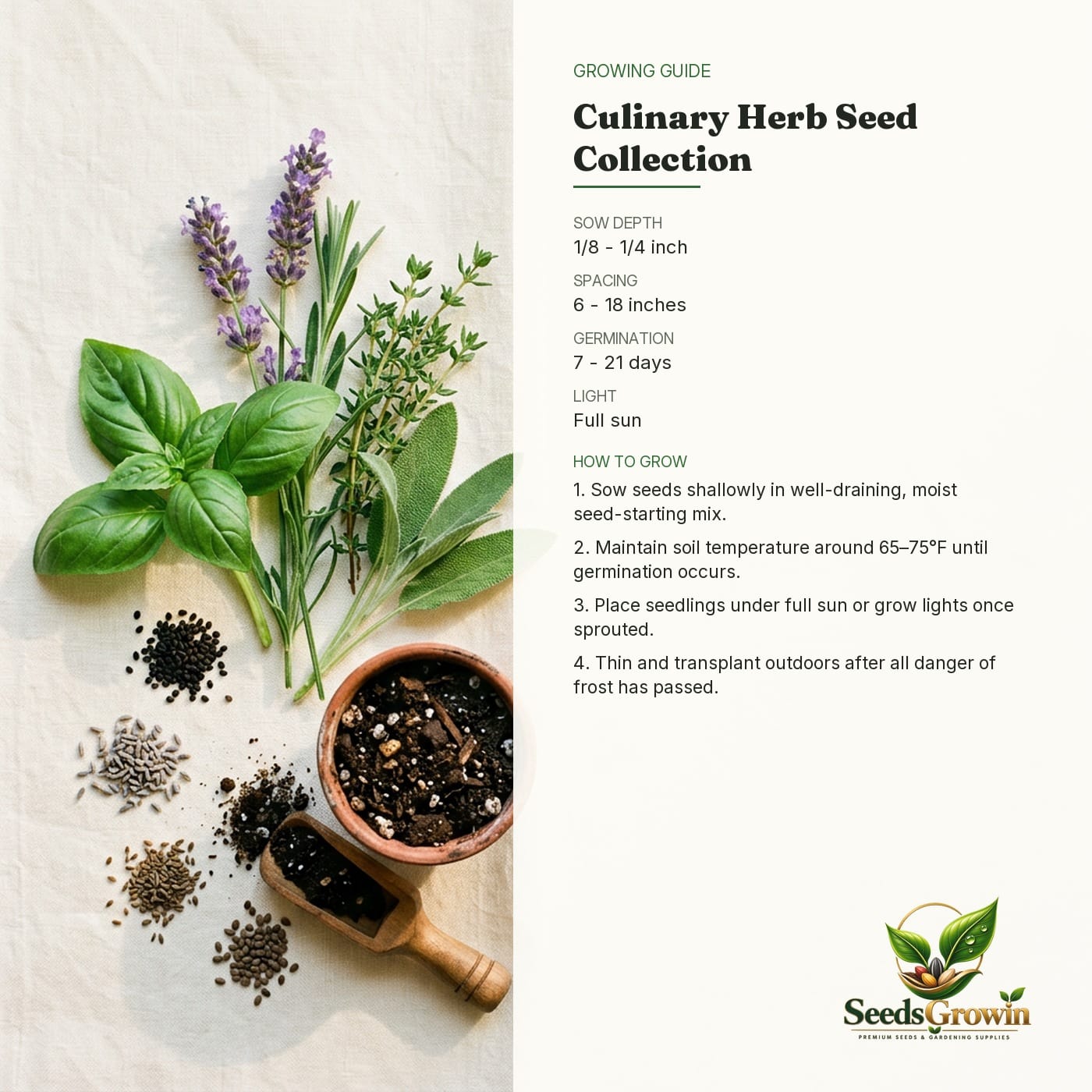 Herb Seeds Variety Pack – Heirloom Kitchen Garden Gift - photo 4