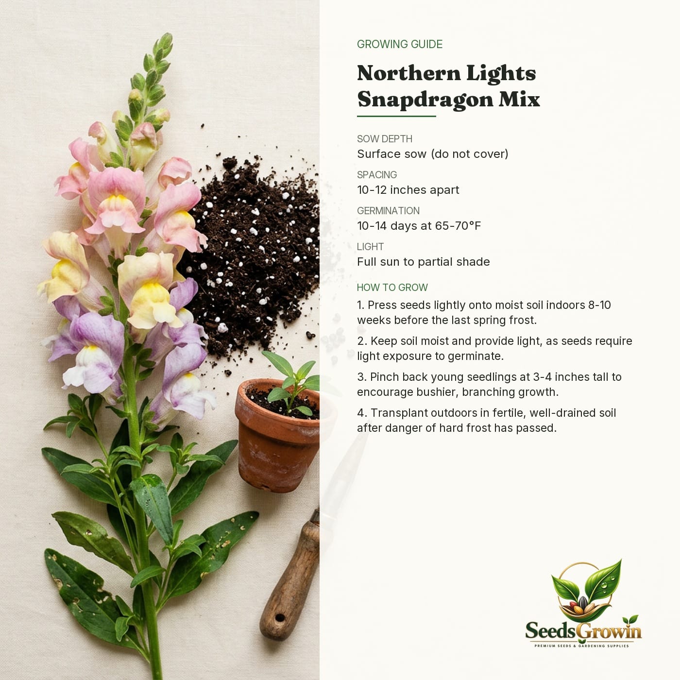 Northern Lights Snapdragon Seeds – Pastel Mix Cut Flowers Heirloom - photo 4