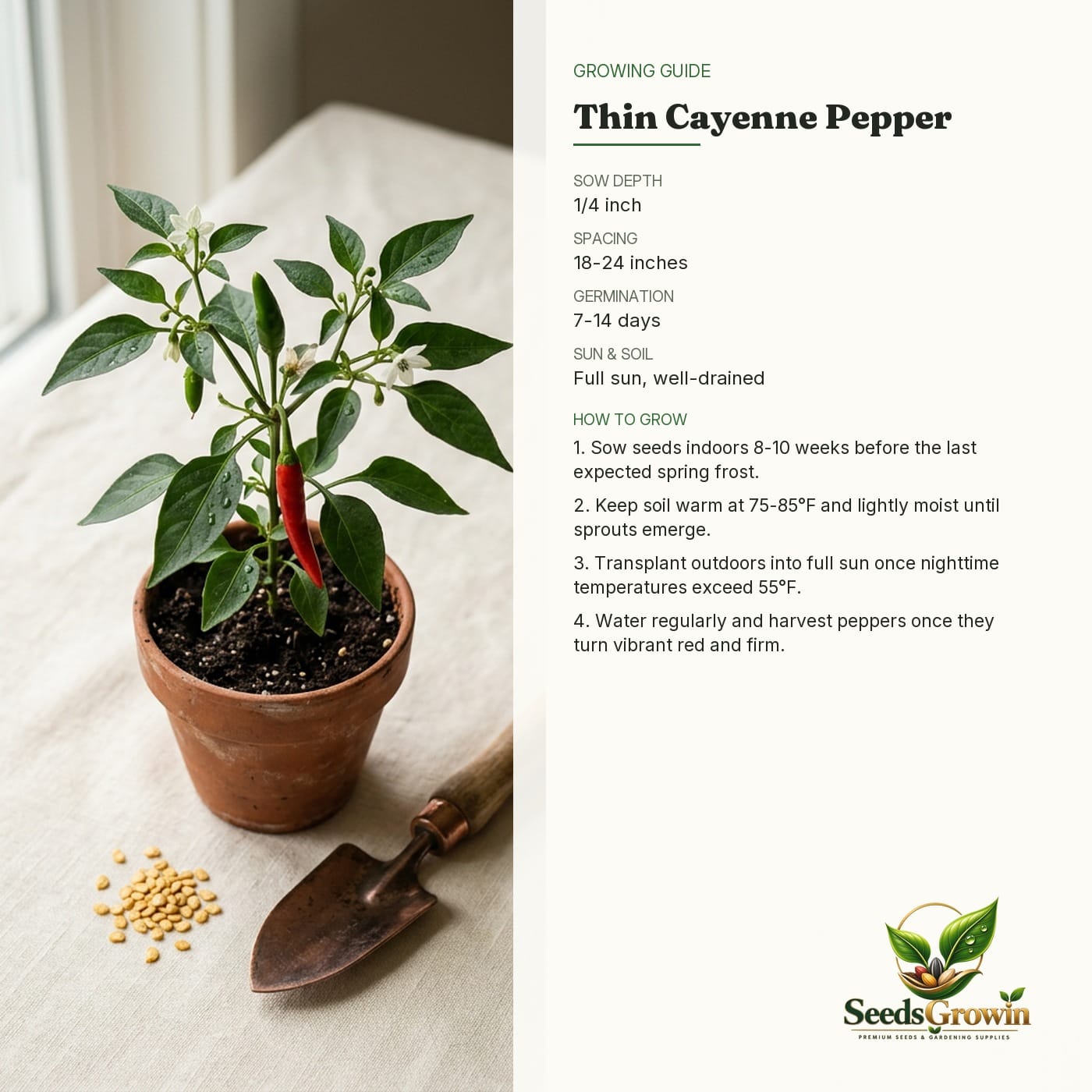 Thin Cayenne Pepper Seeds – Heirloom Hot Non-GMO Spicy Chili - photo 4