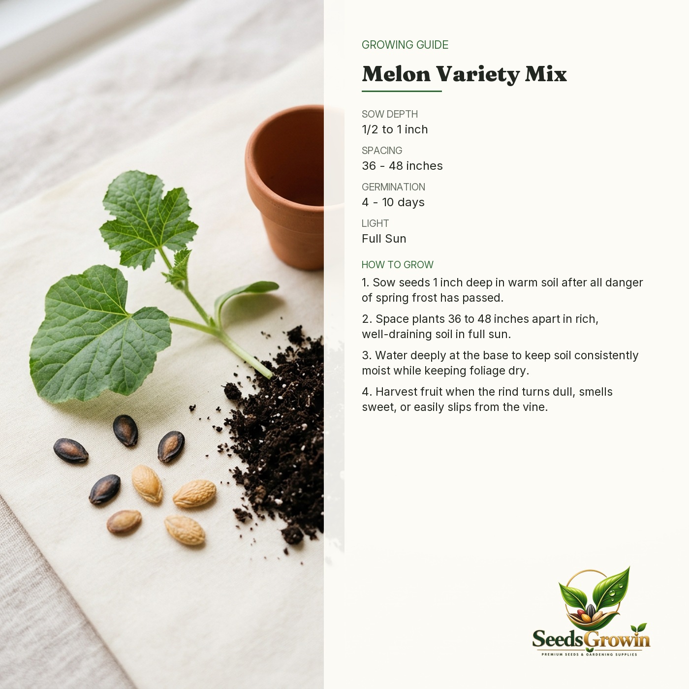Rare Melon Seed Variety Mix – Watermelon Musk Cantaloupe Garden - photo 4