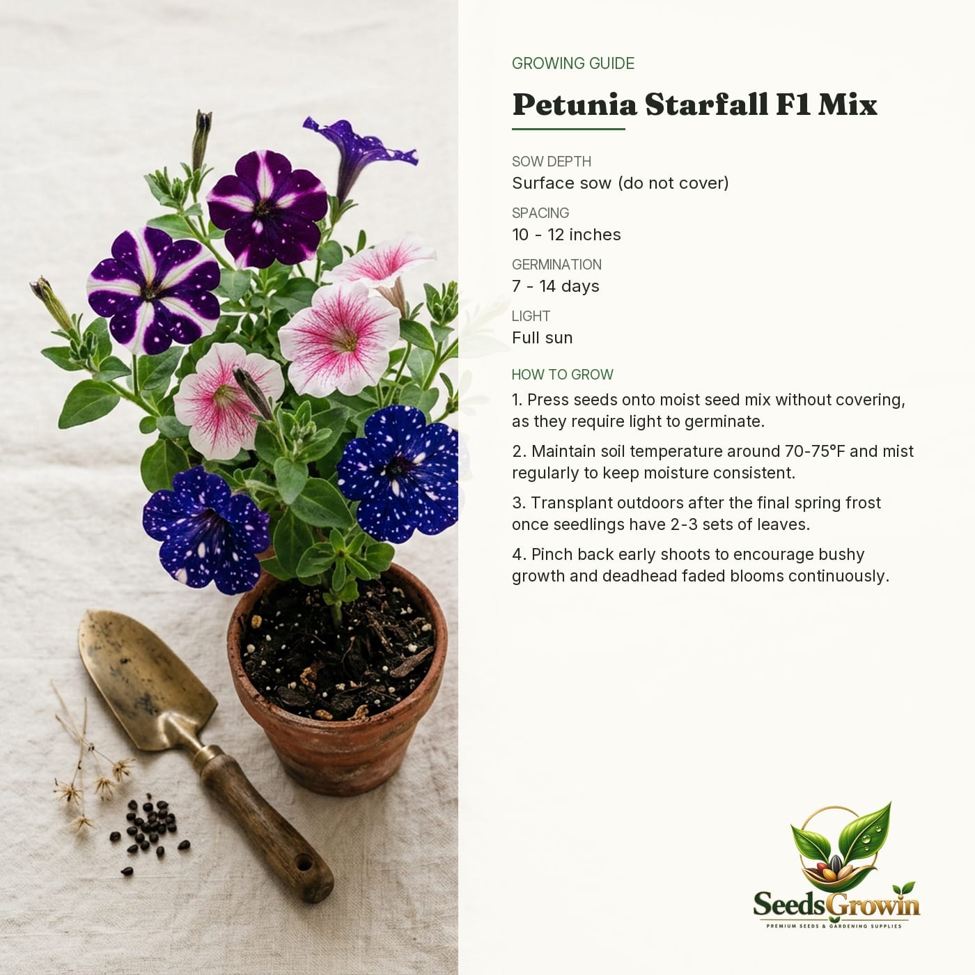 Petunia Starfall F1 Mix Seeds - Colorful Annual Flower - Indoor Outdoor Garden product photo for gardening and home growing