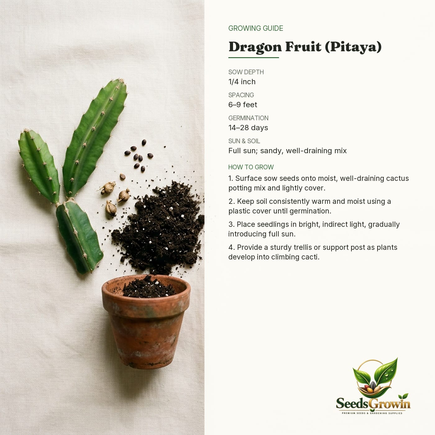 Dragon Fruit Seeds Mixed Pitaya Plant Organic Tropical Garden Growing Heirloom Variety product photo for gardening and home growing