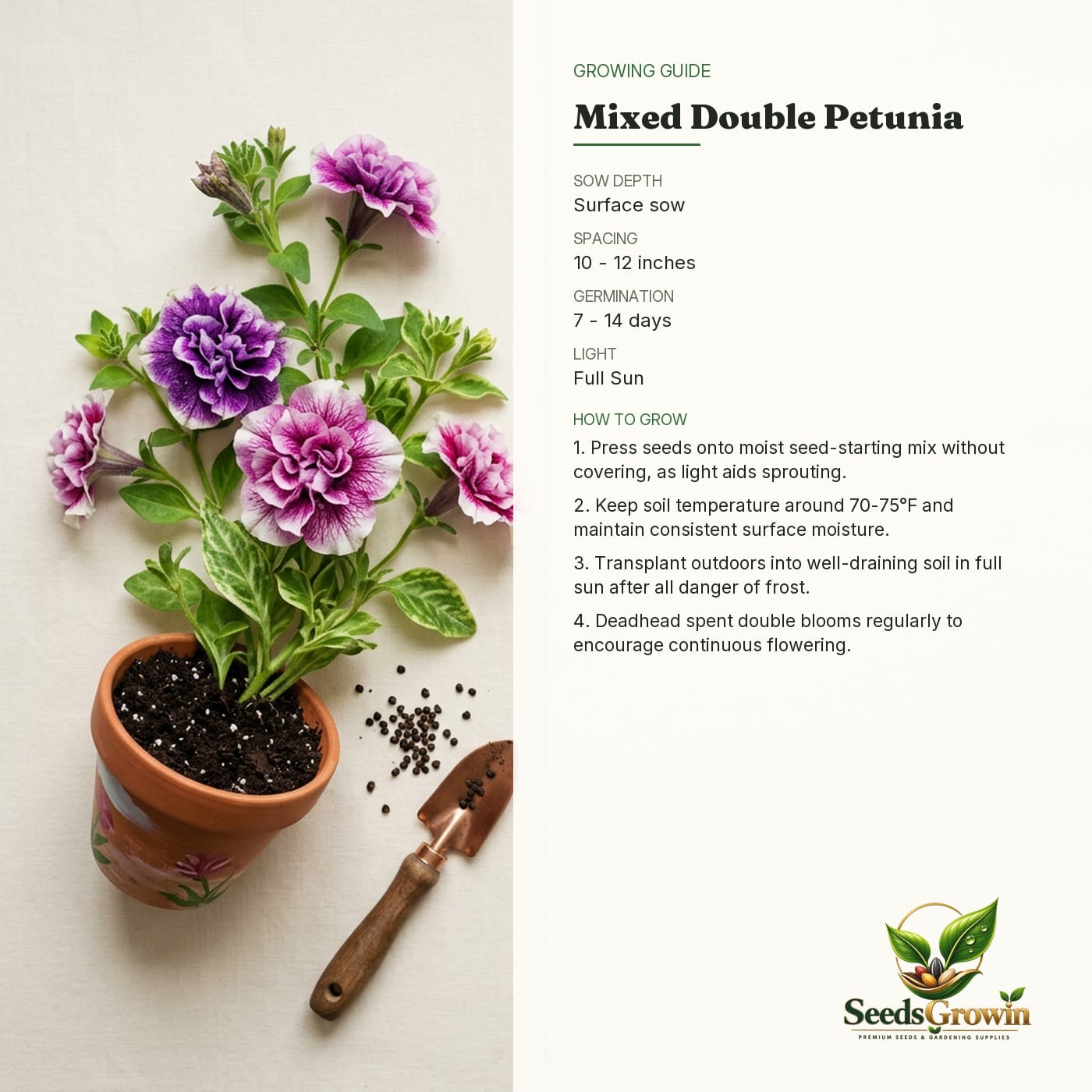 Double Petunia Seeds Mixed Ipomoea Variety Heirloom Annual Colorful Outdoor Growing product photo for gardening and home growing