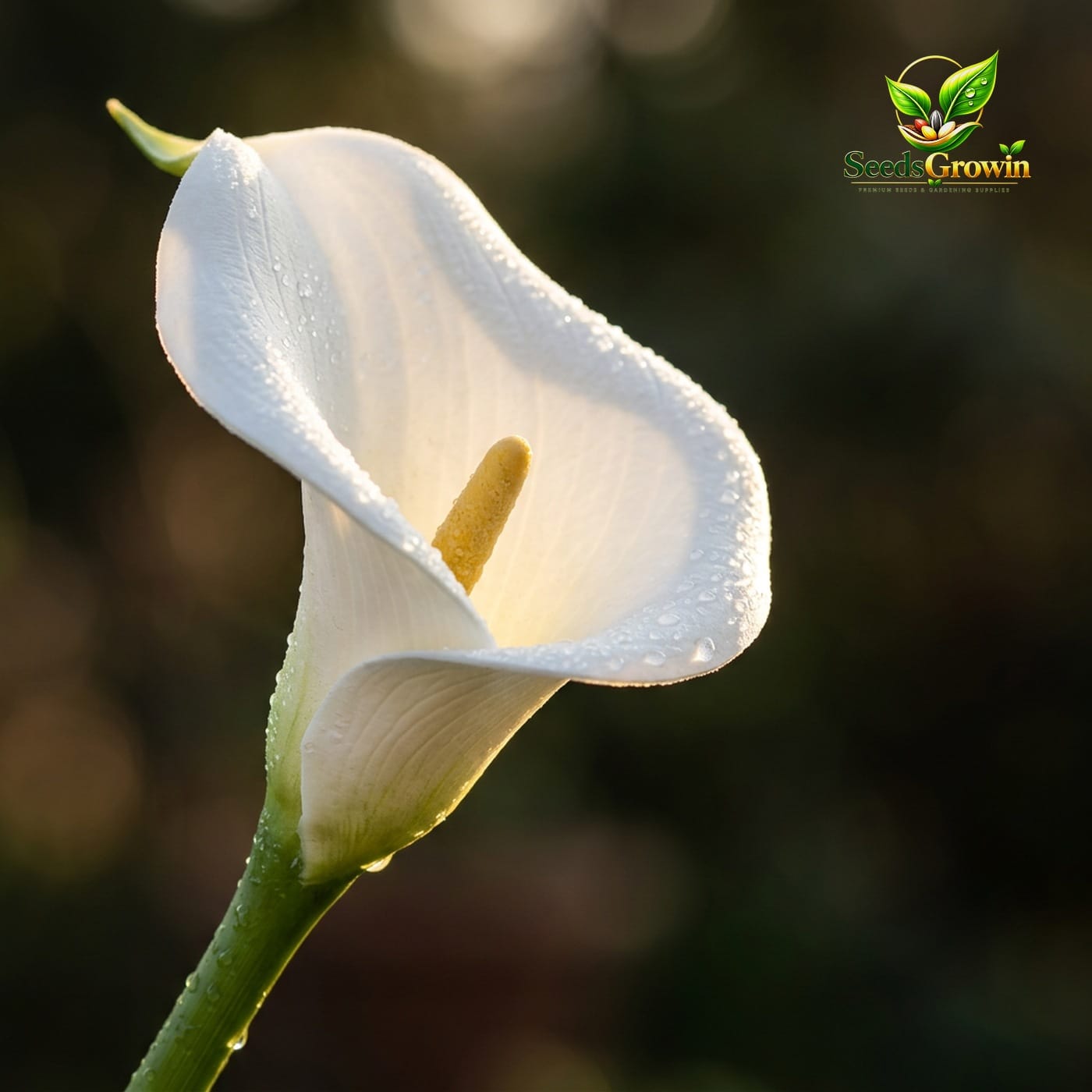Artificial Calla Lily Flowers PU Bouquet Wedding Decor Faux Floral Arrangement Home Accent product photo for gardening and home growing