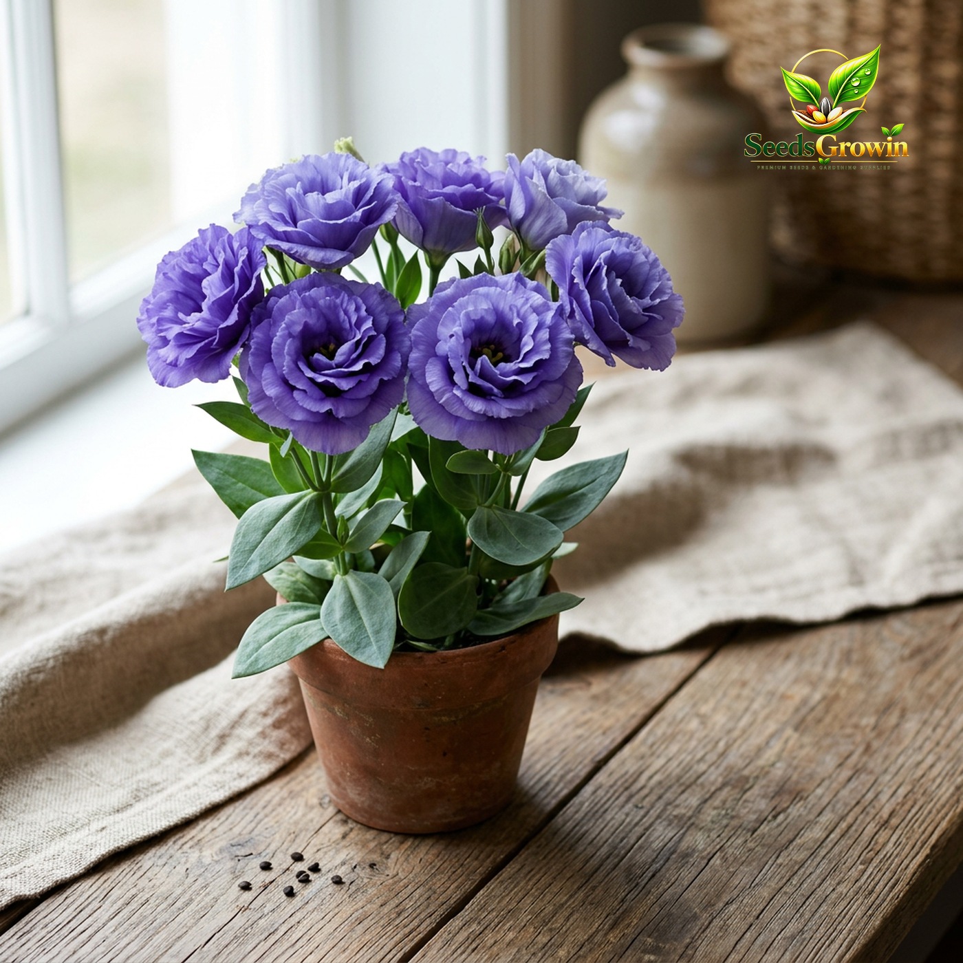 Doublini Blue Lisianthus Seeds - Eustoma Grandiflorum - Double Bloom Cut Flower product photo for gardening and home growing