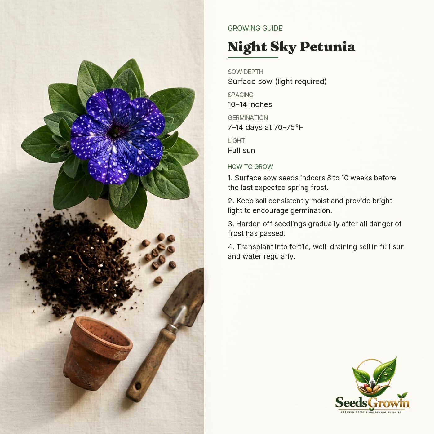 Night Sky Petunia Seeds product photo for gardening and home growing