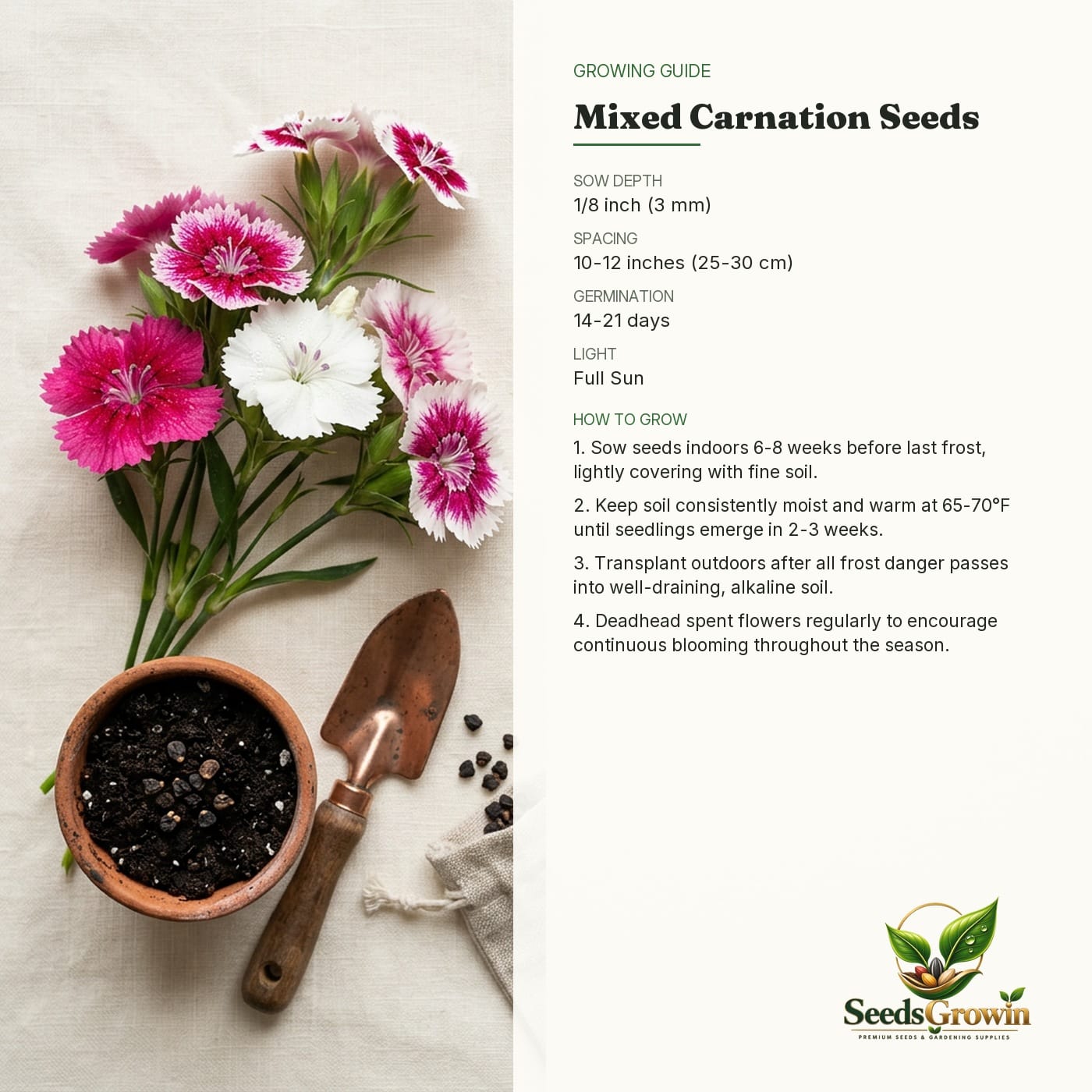 Mixed Carnation Seeds product photo for gardening and home growing